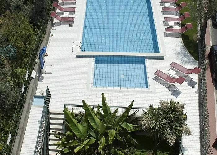 酒店 花园酒店 3*